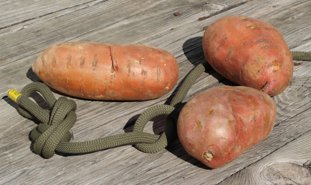 sweet potatoes, climbing rope