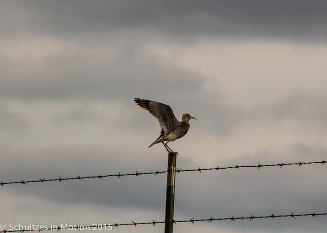 Flint Hills Day Trip-6